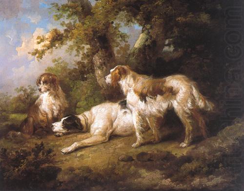 George Morland Dogs In Landscape - Setters Pointer china oil painting image